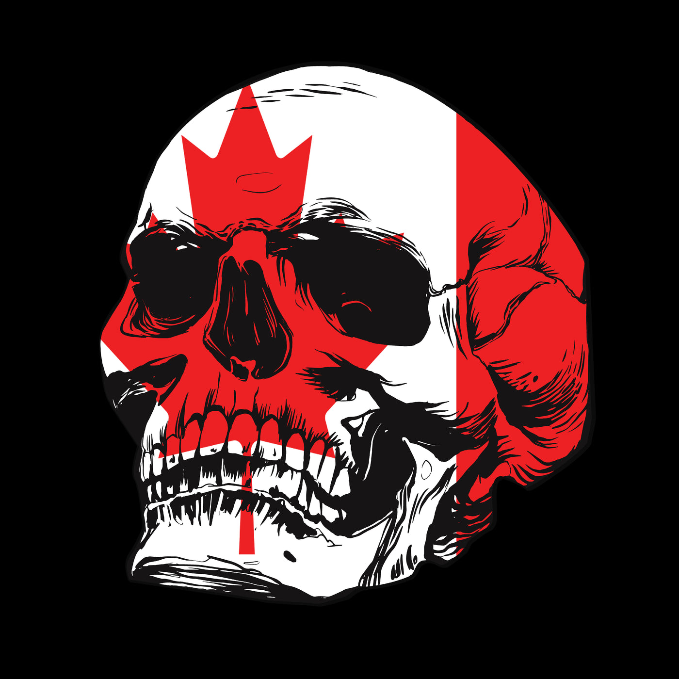 Canadian Skull